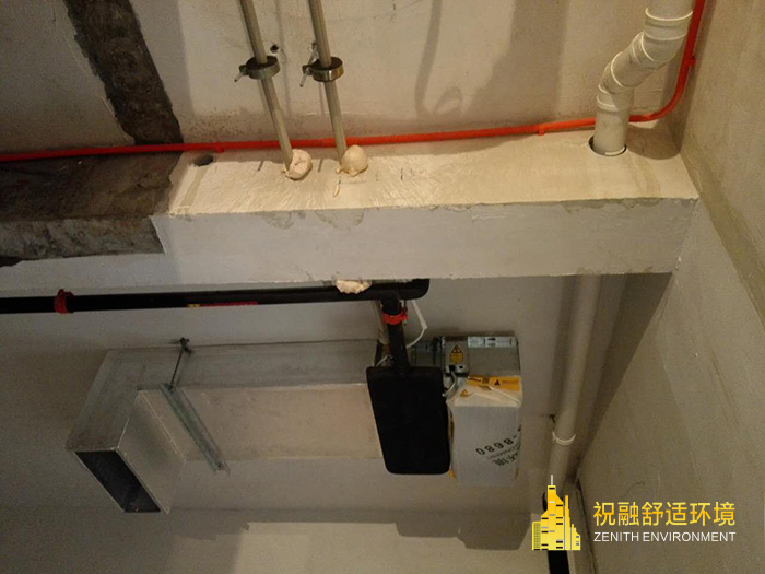 临海伟星和院康和9号院熙隆D-1粉色视频免费无线观看