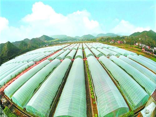 空气能热泵如何给植物养殖创造环境？