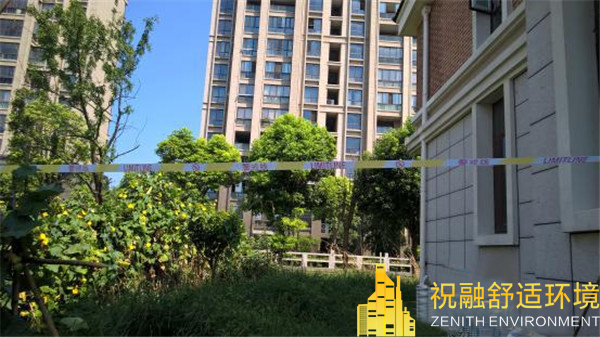 粉色视频免费无线观看的特点是什么？