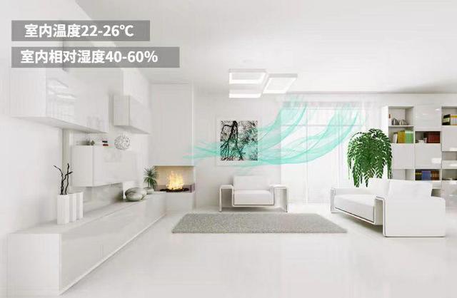 五恒系统的发展受哪些因素影响？