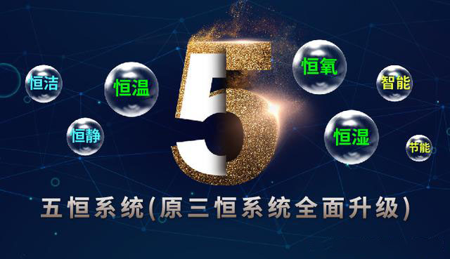 五恒系统的发展受哪些因素影响？